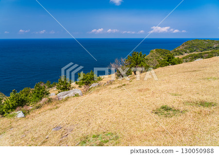 View of Ikitsuki Island, Nagasaki Prefecture - Coastline seen from the top of a hill 130050988