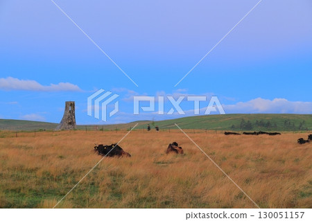 Nagano Prefecture》Utsukushigahara Plateau, Utsukushi Tower 130051157