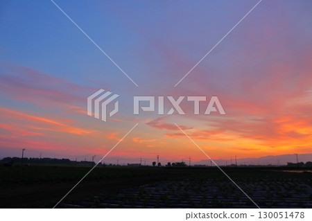 Sunset sky, cultivated land 130051478