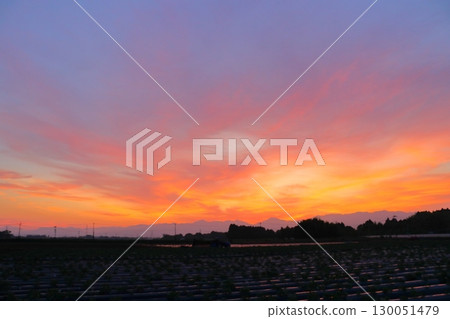 Sunset sky, cultivated land Sunset sky, cultivated land 130051479