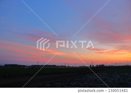 日落天空,耕地 日落天空,耕地 130051481