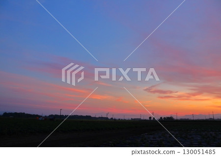 Sunset sky, cultivated land 130051485