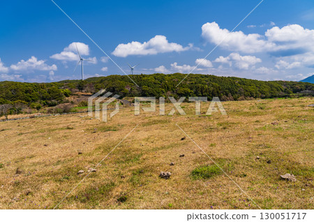 長崎縣:生月島和山丘上的草地景色 長崎縣:生月島和山丘上的草地景色 130051717