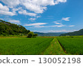 Refreshing countryside scenery in summer 130052198
