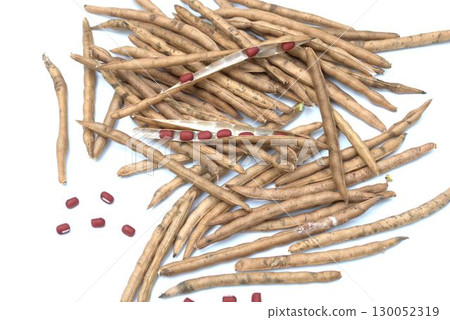 Harvested red adzuki beans 130052319