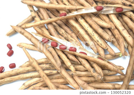 收穫的紅豆 130052320