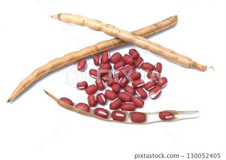 收穫的紅豆 收穫的紅豆 130052405