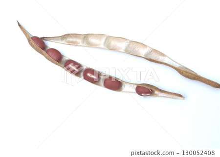 收穫的紅豆 130052408