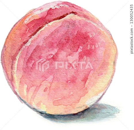 水彩畫的桃子 130052435