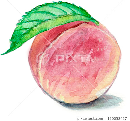 水彩畫的桃子 130052437