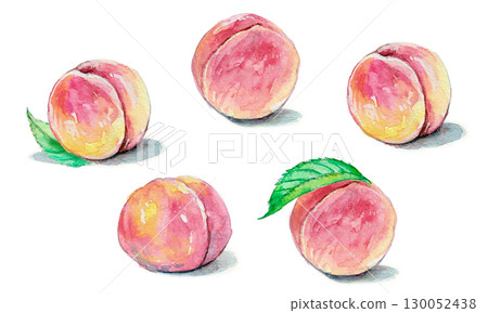 用水彩畫的桃子的插圖 130052438