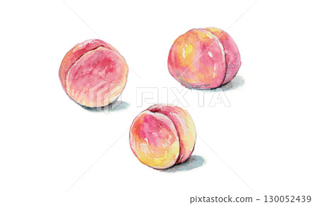 Illustration of peach drawn in watercolor Illustration of peach drawn in watercolor 130052439
