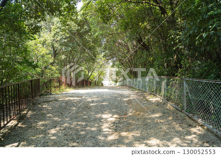 The road to Tamateyama Park Observatory (Kashiwara City, Osaka Prefecture) 130052553
