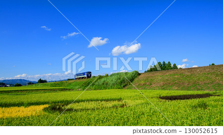Blue Sky and Rice Field Art, Akita Inland Line, Akita Prefecture 130052615