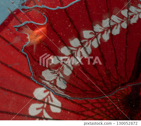 A landscape of goldfish and ripples reflected in a red Japanese umbrella 130052872