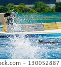 Splashing in a midsummer pool 130052887