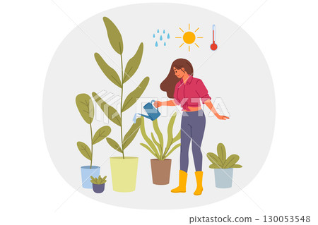 Woman florist grows home plants in greenhouse, watering flowers with water and fertilizer Woman florist grows home plants in greenhouse, watering flowers with water and fertilizer 130053548