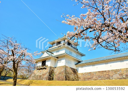 Sakura of Nagaoka Castle Sakura of Nagaoka Castle 130053592