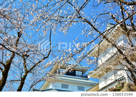 長岡城的櫻花 長岡城的櫻花 130053594