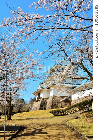 長岡城的櫻花 長岡城的櫻花 130053595