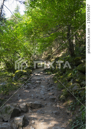 Explore the rocky path of Sentier paved at Pont d'Espagne, a picturesque hiking trail in the 130053667