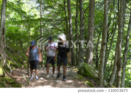 Exploring the serene forest trail of Pont d'Espagne in Cauteret with fellow hikers under the vibrant Exploring the serene forest trail of Pont d'Espagne in Cauteret with fellow hikers under the vibrant 130053675