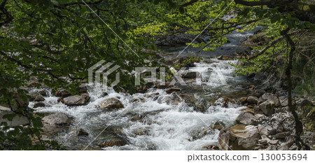 Water cascades through the serene forest of Cauteret Pont d'Espagne in the Pyrenees, highlighting 130053694