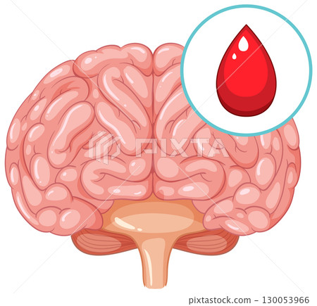 Human Brain with Blood Drop Medical Vector Illustration 130053966