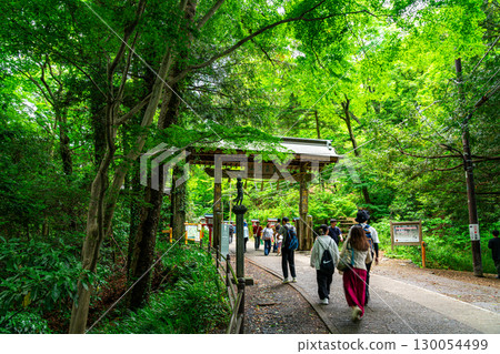 [Tokyo] The approach to Takao-san Yakuo-in Temple, blessed with abundant nature 130054499