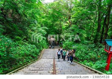 [Tokyo] Otokozaka Hill at Takao-san Yakuo-in Temple, blessed with abundant nature 130054510