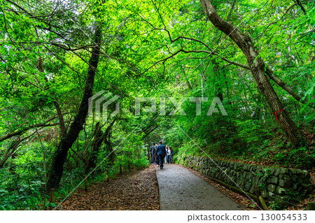 [Tokyo] Mount Takao, blessed with abundant nature 130054533