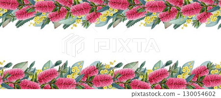 Australia wildflowers seamless border decor. Hand drawn watercolor vintage style illustration. Bottlebrush, golden acacia flowers with eucalyptus leaves seamless border element on white background Australia wildflowers seamless border decor. Hand drawn watercolor vintage style illustration. Bottlebrush, golden acacia flowers with eucalyptus leaves seamless border element on white background 130054602