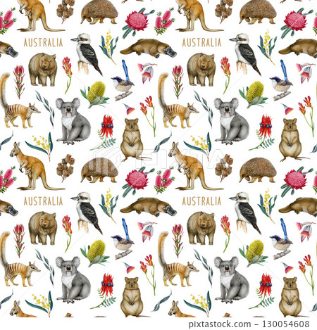 Australia native flora and fauna elements seamless pattern decor element on white background. Hand drawn koala, kangaroo, quokka, platypus, kookaburra with Australian native flowers 130054608