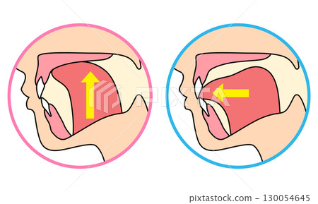 How to mew properly: correct and incorrect tongue position 130054645