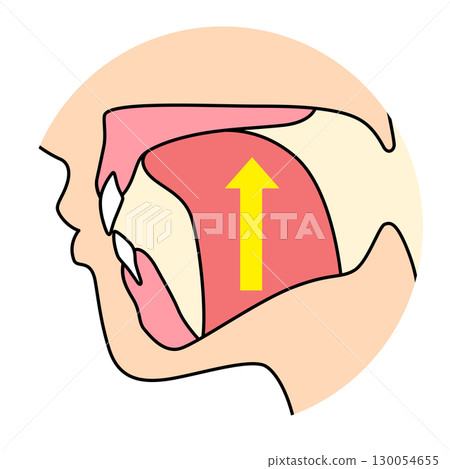 How to mew properly: correct and incorrect tongue position 130054655