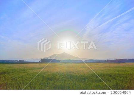 清晨藍天映襯下的筑波山和金色麥田，景色如夢似幻 130054964