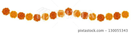 Yellow orange marigold flowers border. Indian traditional floral festive garland toran. Zendu flowers isolated on background Party decor for Halloween, Dia de los Muertos holiday. Vector illustration 130055343