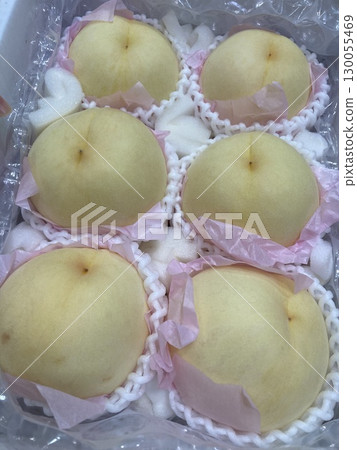 岡山縣的白桃 130055469