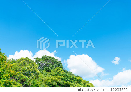 Blue sky, clouds and grove 130055851