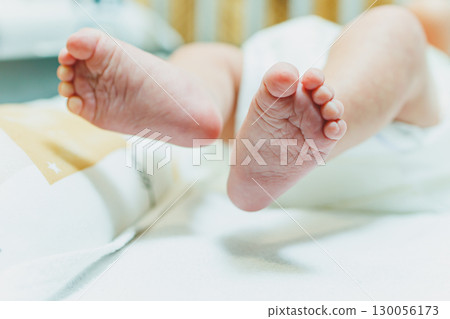 Close-up of baby feet in parent's hands. Baby feet with little toes. Cute photo of baby feet. Close-up of baby feet in parent's hands. Baby feet with little toes. Cute photo of baby feet. 130056173