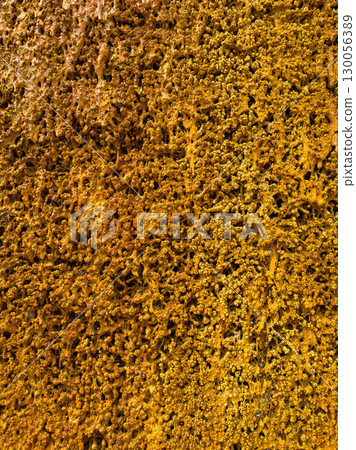 Experience the beautifully Textured Surface of Natural Elements adorned with Rich Golden Hues, making it perfect for creating stunning Abstract Backgrounds and captivating Naturethemed Designs Experience the beautifully Textured Surface of Natural Elements adorned with Rich Golden Hues, making it perfect for creating stunning Abstract Backgrounds and captivating Naturethemed Designs 130056389