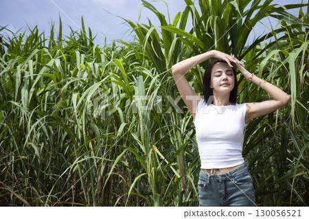 站在甘蔗田裡的可愛女人 130056521