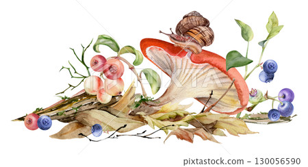 Russula webcap cortinarius mushroom, crawling snail on cap, cranberry blackberry on top of fallen autumn leaves pile, berries twigs. Forest floor. Fungi natural illustration hand drawn in watercolor. 130056590