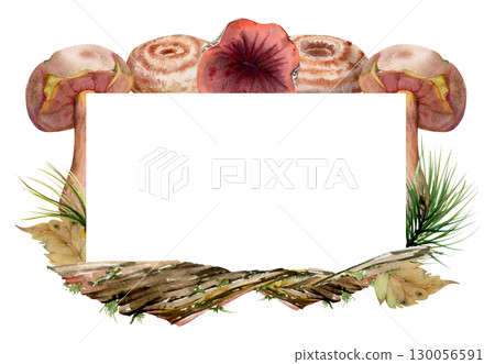 Bolete Russula milk-cap mushroom on bark with moss lichen growth, fallen autumn leaves, pine needles. Copy space frame hand drawn in watercolor. Cep webcap suillus fungi, autumn forest floor harvest. 130056591