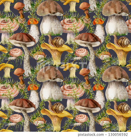 Mushrooms seamless pattern hand drawn in watercolor. Chanterelle russula webcap birch bolete suillus slippery jack fungi, horsetail plant stalks isolated on dark. Wild food market packaging wrapping Mushrooms seamless pattern hand drawn in watercolor. Chanterelle russula webcap birch bolete suillus slippery jack fungi, horsetail plant stalks isolated on dark. Wild food market packaging wrapping 130056592
