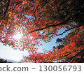 秋葉與綏爛晚霞的瞬間 130056793