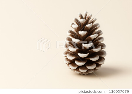 Pine cone with frosted tips on soft cream background casting gentle shadow, minimal Christmas concept with natural texture and warm light 130057079