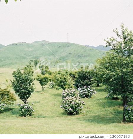 熊本縣阿甦的夏天 熊本縣阿甦的夏天 130057123