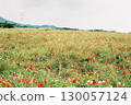 Summer in Aso, Kumamoto 130057124
