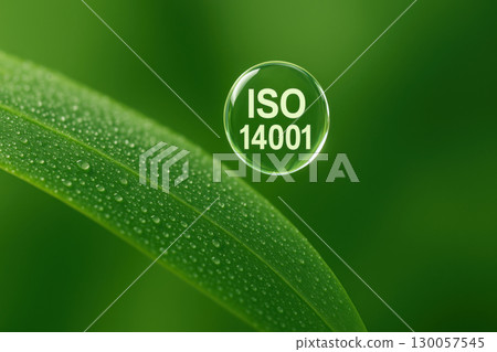 ISO 14001 text inside water droplet floating above dew covered green leaf, symbolizing eco friendly standards and environmental care 130057545